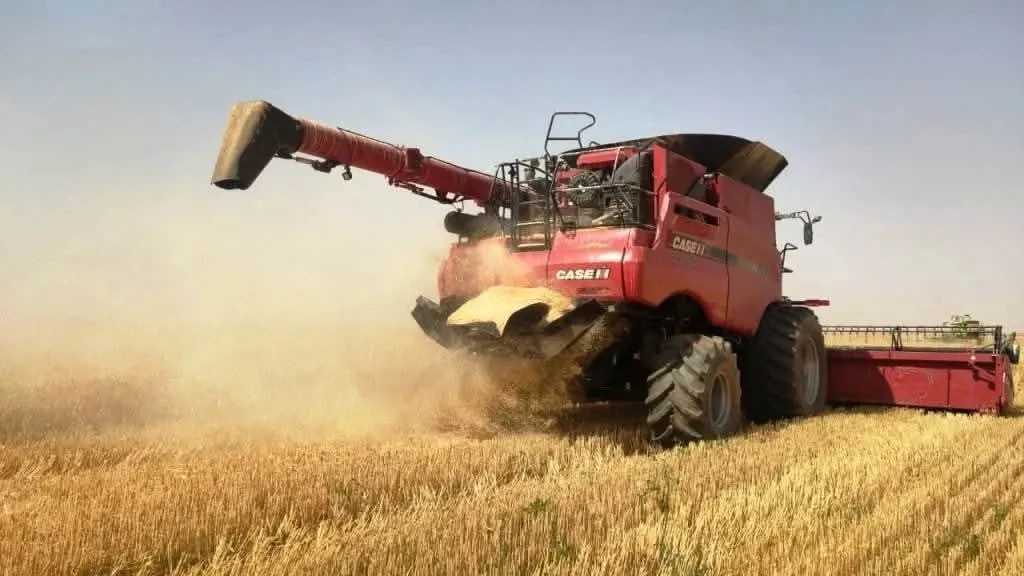 محافظ أسوان يؤكد نجاح موسم حصاد محصول القمح 