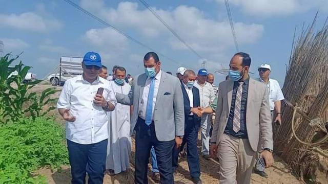 تعبيريه