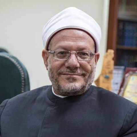 مفتى الجمهورية
