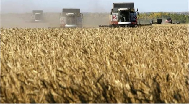 فاو تحذر من خطر يهدد الأمن الغذائي للأجيال القادمة فاو تحذر من خطر يهدد الأمن الغذائي للأجيال القادمة