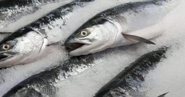 Toggle navigationالتجارة تمد صلاحية الأسماك المجمدة لـ9 أشهر.. والكبد المجمد 10 أشهر Toggle navigationالتجارة تمد صلاحية الأسماك المجمدة لـ9 أشهر.. والكبد المجمد 10 أشهر