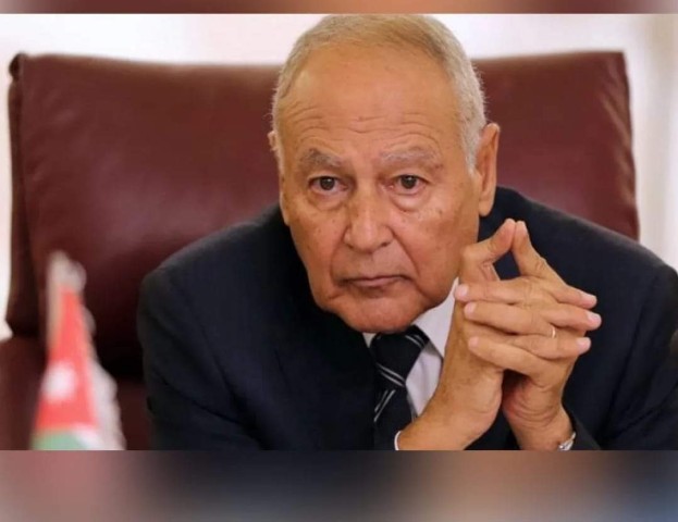 أحمد أبو الغيط