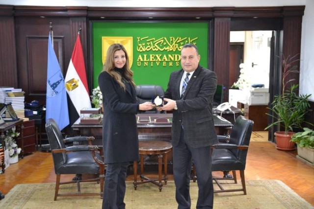 صورة توضيحية