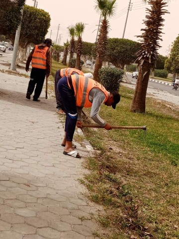 استمرار جهاز التجميل في إعادة رفع كفاءة وتطوير المسطحات الخضراء بالإسماعيلية