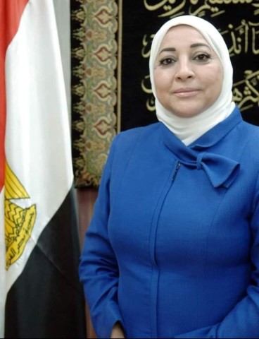 نائب محافظ القاهرة للمنطقة الجنوبية