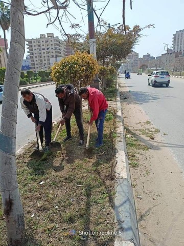 حملات نظافة وتجميل بمحافظة الدقهلية