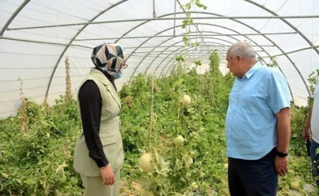 محافظ الوادي الجديد يتفقد مركز بحوث الصحراء بالخارجة 