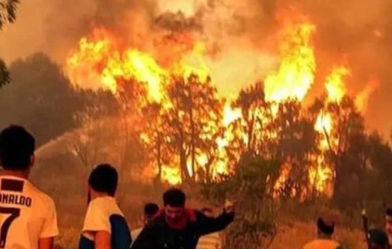 الجزائر : ارتفاع أعداد ضحايا حرائق الغابات إلى 37 حالة وفاة و183 إصابة