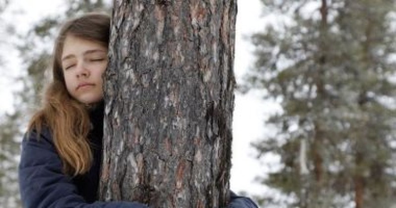 آنى لانكيلا تُتوج ببطولة العالم الثالثة لمعانقة الأشجار