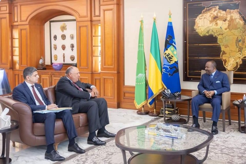 وزير الخارجية يلتقي رئيس الجمهورية الجابونية لبحث سبل التعاون المشترك بين البلدين 