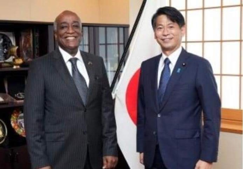 السفير المصري في طوكيو يلتقي وزير الدولة الياباني للشئون الخارجية