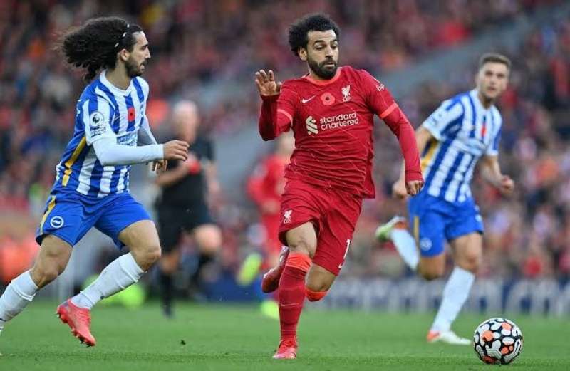 عاجل: بث مباشر الآن مباراة ليفربول وبرايتون في الدوري الإنجليزي