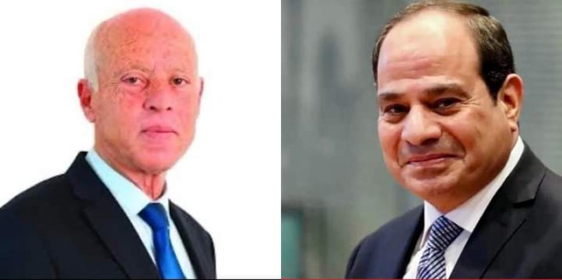 الرئيس السيسي و الرئيس التونسي 