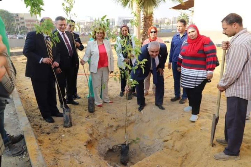 صورة توضيحية