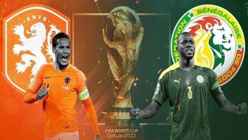 التشكيل الرسمي لمواجهة هولندا والسنغال في كأس العالم