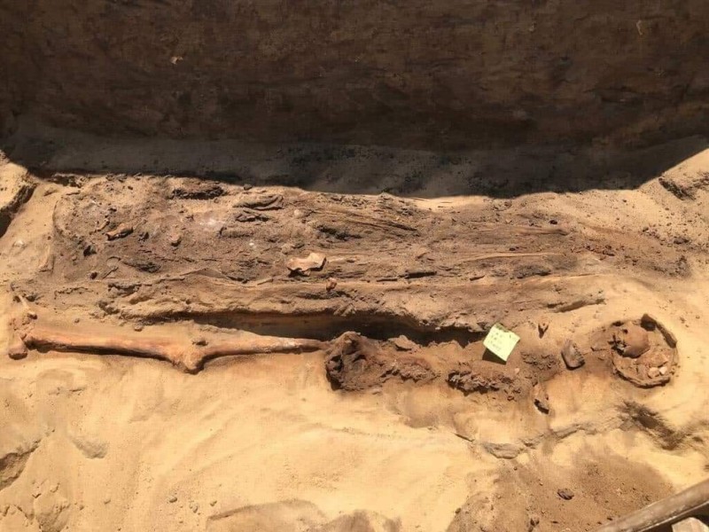 الكشف عن مقابر ترجع لعصور مختلفة ومومياوات ذات ألسنة ذهبية بجبانة قويسنا الأثرية