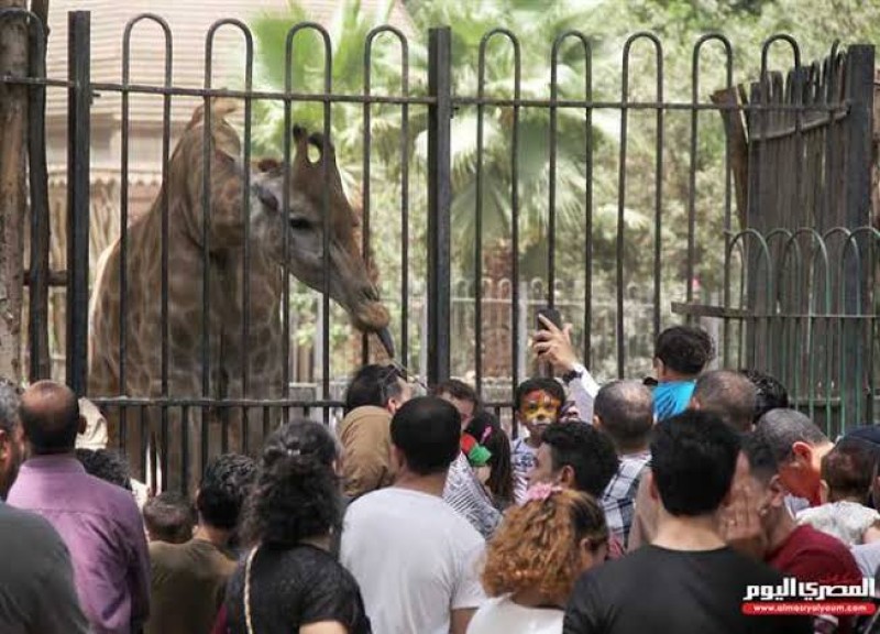 حديقة حيوان الجيزة "صورة أرشيفية"