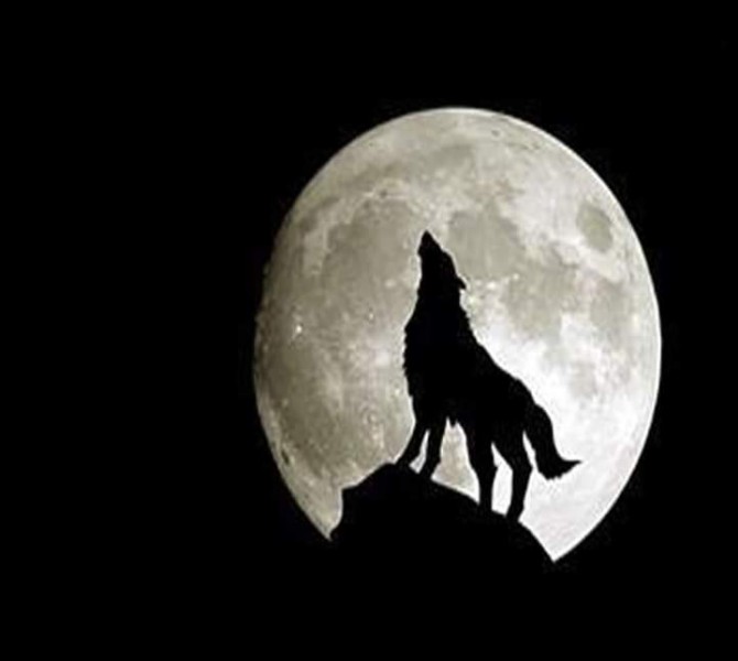 ”قمر الذئب” أول قمر مكتمل في 2023 يضيئ السماء بعد غد