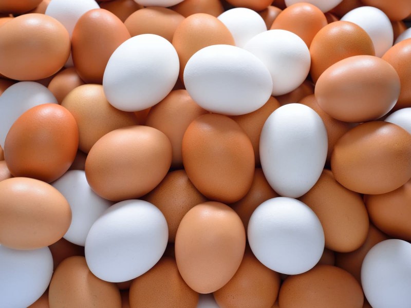 أسعار البيض والدجاج في مصر اليوم السبت 28 يناير 2023