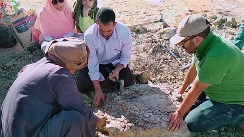 محافظ الوادي الجديد يُشيد بالكشف البحثي الجديد لفريق جامعتي الوادي الجديد والقاهره