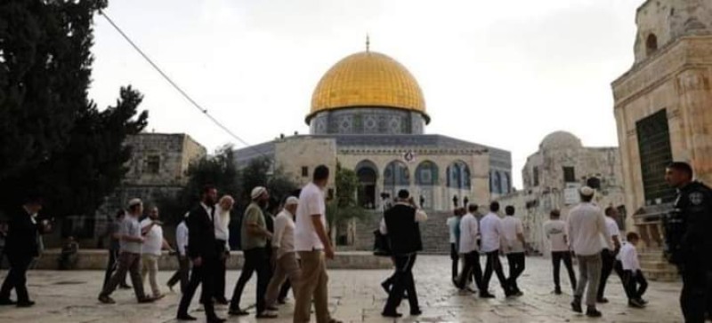 القدس.. عشرات المستوطنين يقتحمون المسجد الأقصى