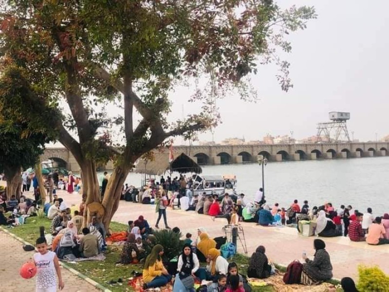 صورة توضيحية