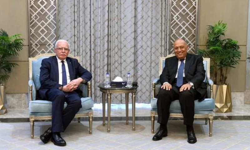 وزير الخارجية يلتقي نظيره الفلسطيني