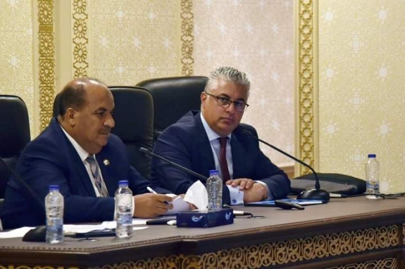 صورة توضيحية 