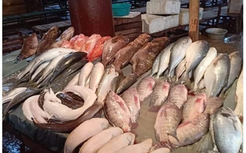 أسعار الأسماك في السوق اليوم السبت 29 يوليو 2023