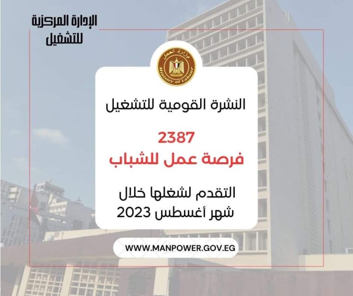وزارة العمل: 2387  فرصة عمل في 36 شركة خاصة داخل 9 محافظات..منها لذوي همم 