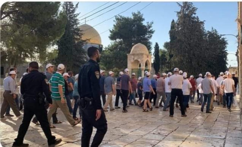 فلسطين.. عشرات المستوطنين يقتحمون المسجد الأقصى بحماية شرطة الإحتلال