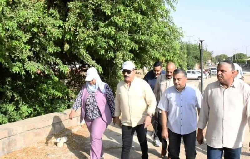 صورة توضيحية