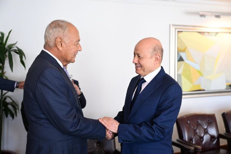 أبو الغيط يلتقي رئيس مجلس القيادة الرئاسي اليمني