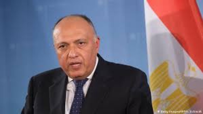 سامح شكري وزير الخارجية المصري 
