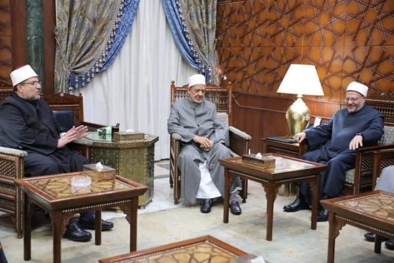 صورة توضيحية 