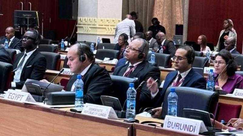 جمهورية مصر العربية نائباً أول لرئيس المجلس الوزاري للاتفاقية لمدة عام قادم ممثلة عن دول شمال أفريقيا