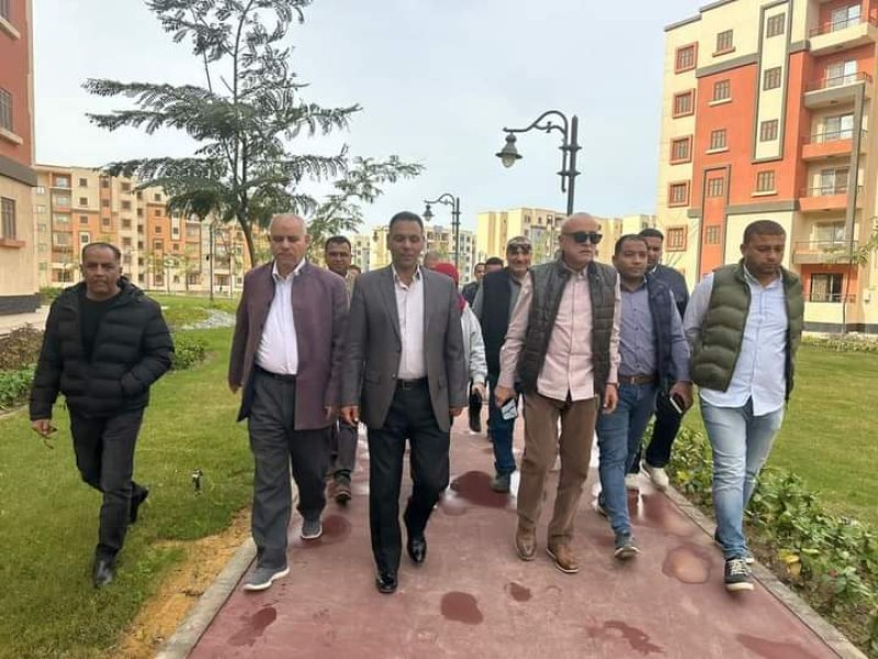 صورة توضيحية