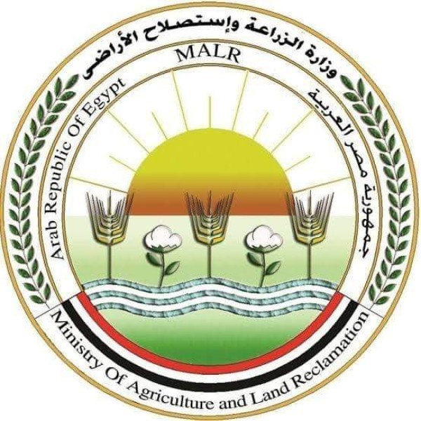 وزارة الزراعة تنفي ذبح عدد من سلالات الدواجن المصرية النادرة نتيجة عدم توافر الأعلاف