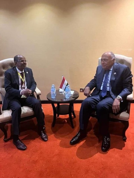 شكري يلتقي وزير خارجية جيبوتي