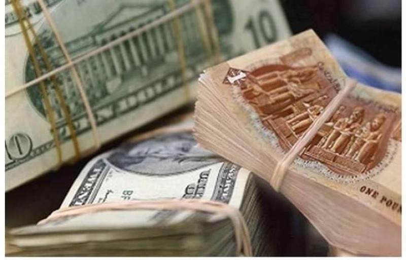 إستقرار سعر الدولار اليوم الأحد في البنوك المصرية