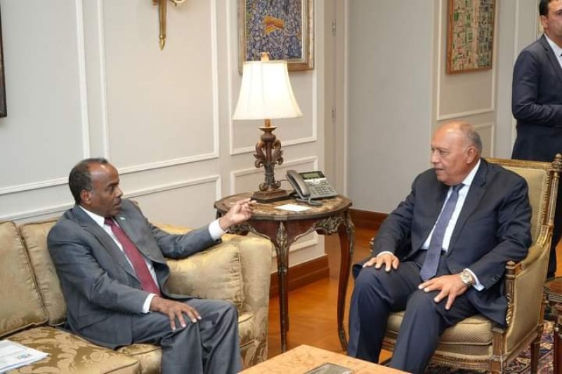 وزير الخارجية يستقبل القائم بأعمال وزير خارجية الصومال في القاهرة