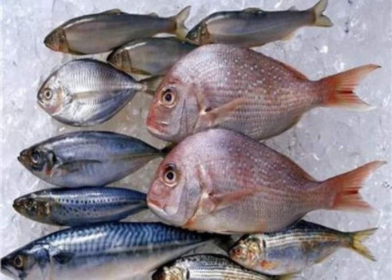 إنخفاض أسعار الأسماك اليوم 27 أبريل بسوق العبور