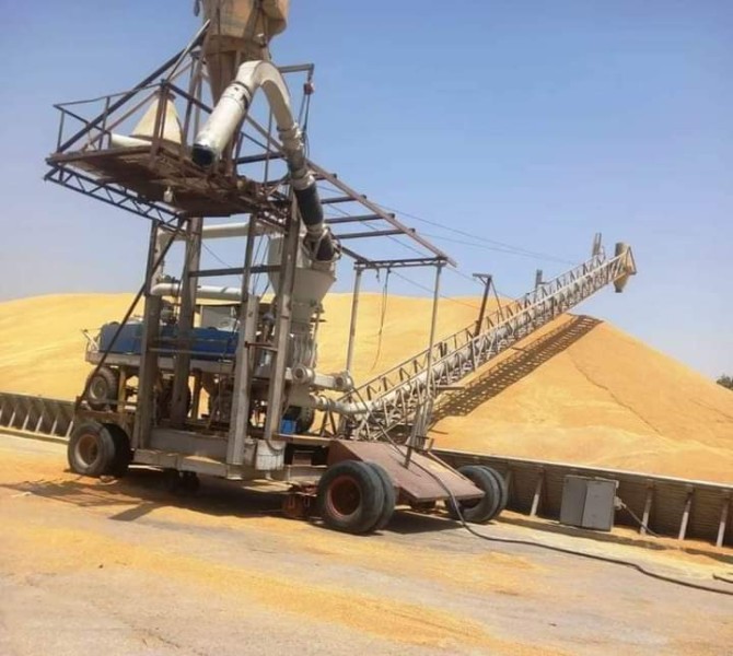 محافظ أسوان : توريد 225 ألف و 427 طن من القمح حتى الآن