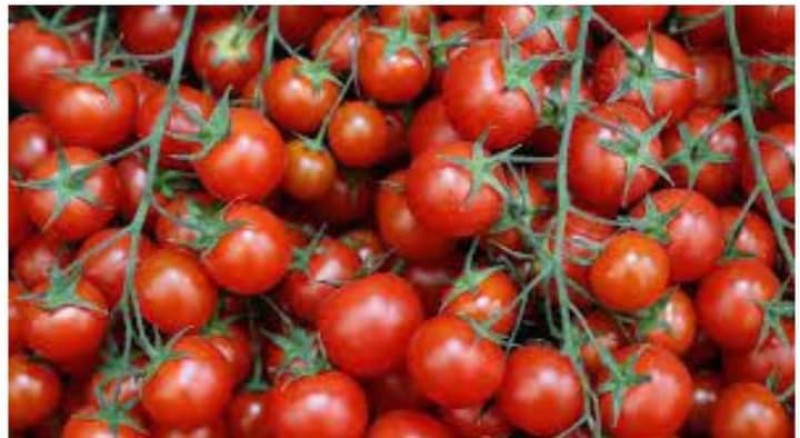 الطماطم تنخفض إلى 1.5 جنيه.. أسعار الخضروات والفاكهة بسوق العبور اليوم الثلاثاء 21 مايو 2024