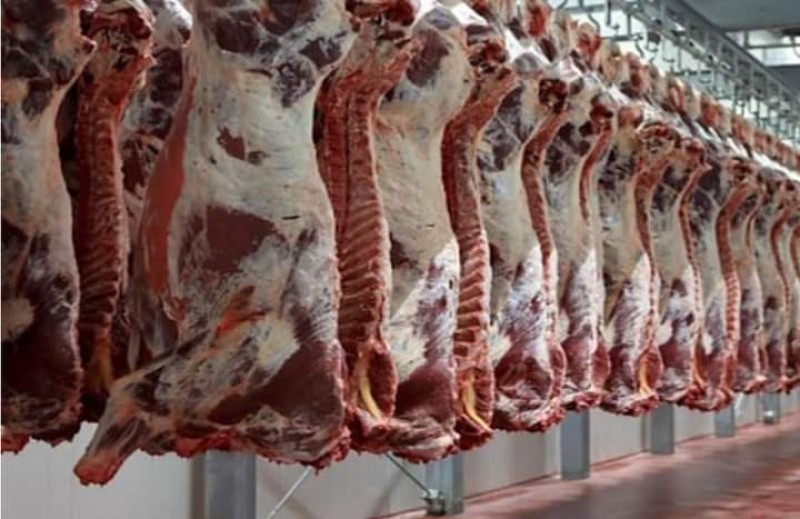 التموين : ضخ اللحوم والدواجن بتخفيضات 40% بمنافذ القابضة الغذائية استعدادًا لعيد الأضحى