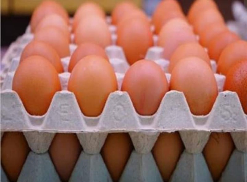 أسعار البيض في الأسواق اليوم الخميس 20 يونيو