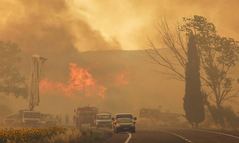 12 قتيلا على الأقل جراء حريق غابات في جنوب شرق تركيا