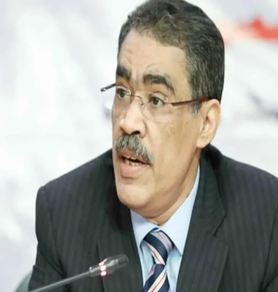 رشوان: ”وجود قوى دولية تؤمنه” مطلب الشعب الفلسطيني منذ بداية الاحتلال حتى الآن