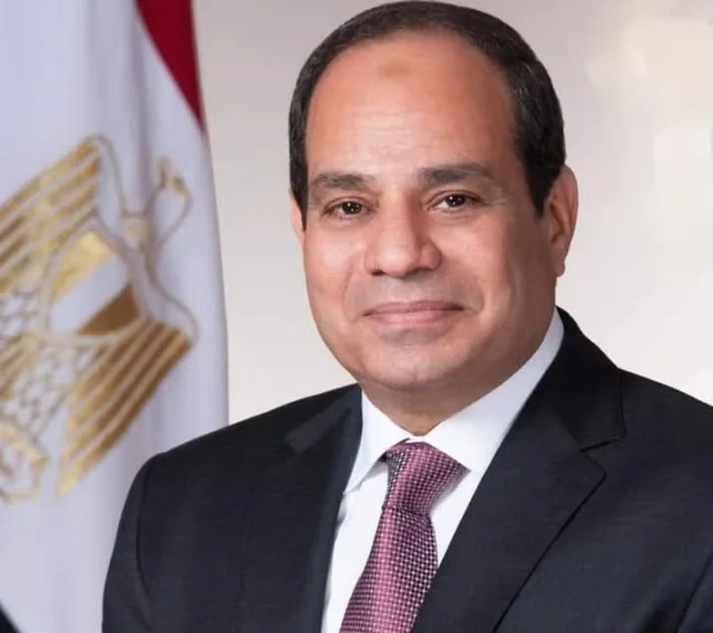 الرئيس السيسي يستقبل القادة المشاركين في أعمال القمة الـ11 لمنظمة الدول الثماني النامية للتعاون الاقتصادي