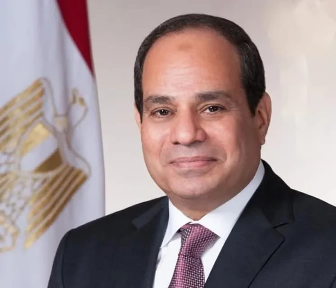 الرئيس السيسي يعتمد تعيين السفير الباكستاني سهيل محمود سكرتيرًا عامًا لـ منظمة الدول الثماني النامية